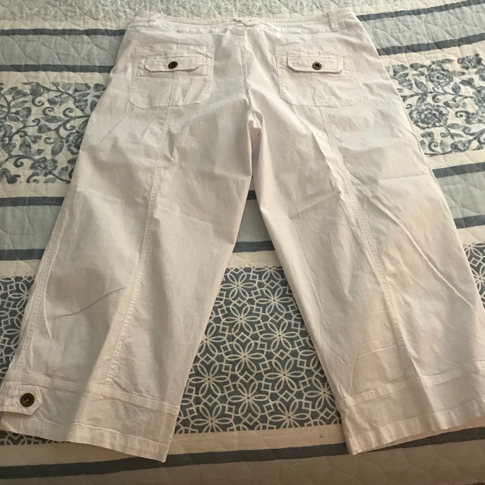 “Fresh Produce” wide leg crop pant. Size 30